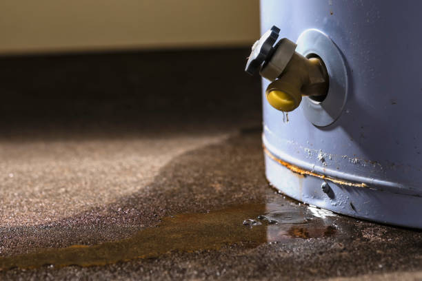 Best Water damage restoration specialists  in Collinsville, MS