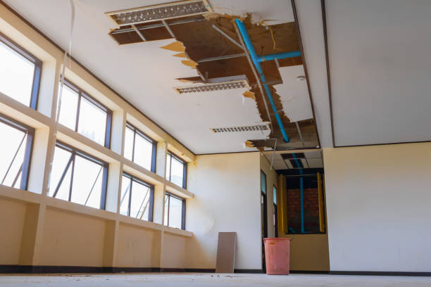 Best Water damage restoration cost  in Collinsville, MS
