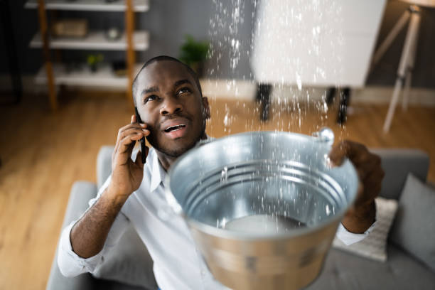 Best Water damage cleanup near me  in Collinsville, MS