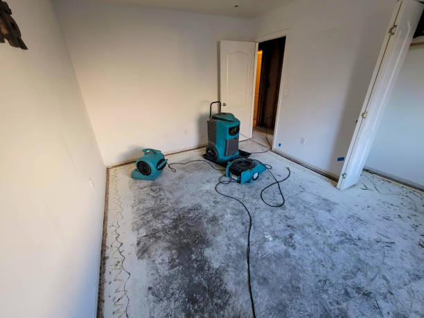  Collinsville, MS Water damage restoration Pros