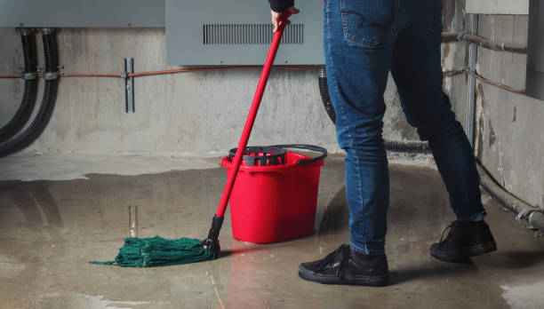Best Carpet water damage restoration  in Collinsville, MS