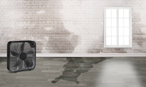 Fire Damage Restoration in MS