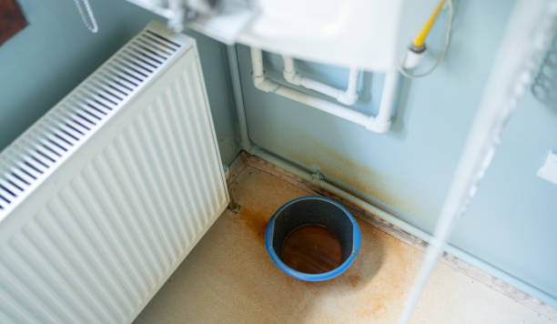 Best Basement water damage restoration  in Collinsville, MS