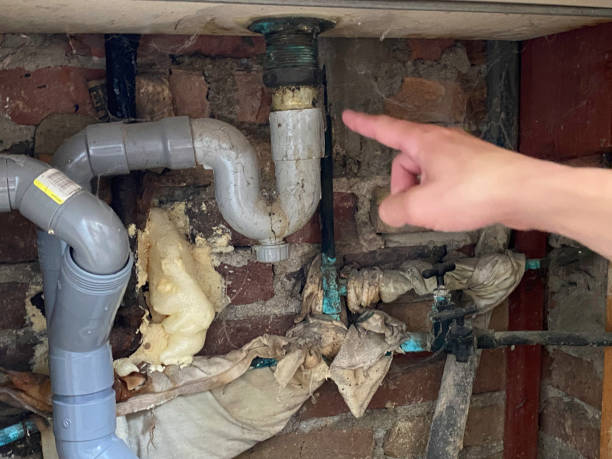 Best Ceiling water damage repair  in Collinsville, MS